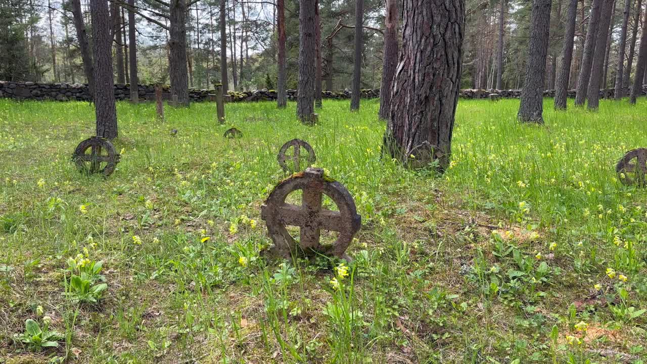 Pan right of sun crosses, also known as solar crosses, ring crosses or wheel crosses, in Vormsi cemetery. Estonia.