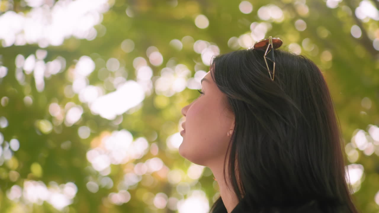 Medium view of park lover under amber foliage, looking up admiring nature, sunlight through leaves, soft bokeh around, calm mood, gentle breeze moves canopy, profile face with sunglasses on hair