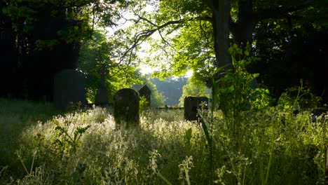 Gruselige-Szene-Eines-Vernachlässigten-Keltischen-Friedhofs-In-Der-Nähe-Der-Grafschaft-Wexford-In-Irland