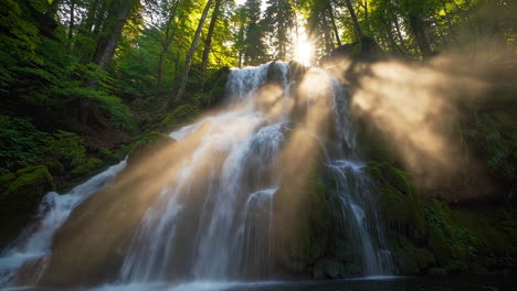 majestuosa cascada en un bosque exuberante