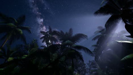 4k astro of milky way galaxy over tropical rainforest.