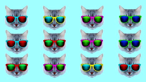 estilo de gato movimiento de color de fondo