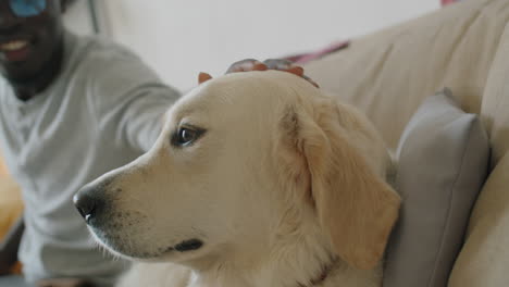 Afroamerikanischer-Mann-Streichelt-Süßen-Golden-Retriever-Hund-Auf-Dem-Sofa