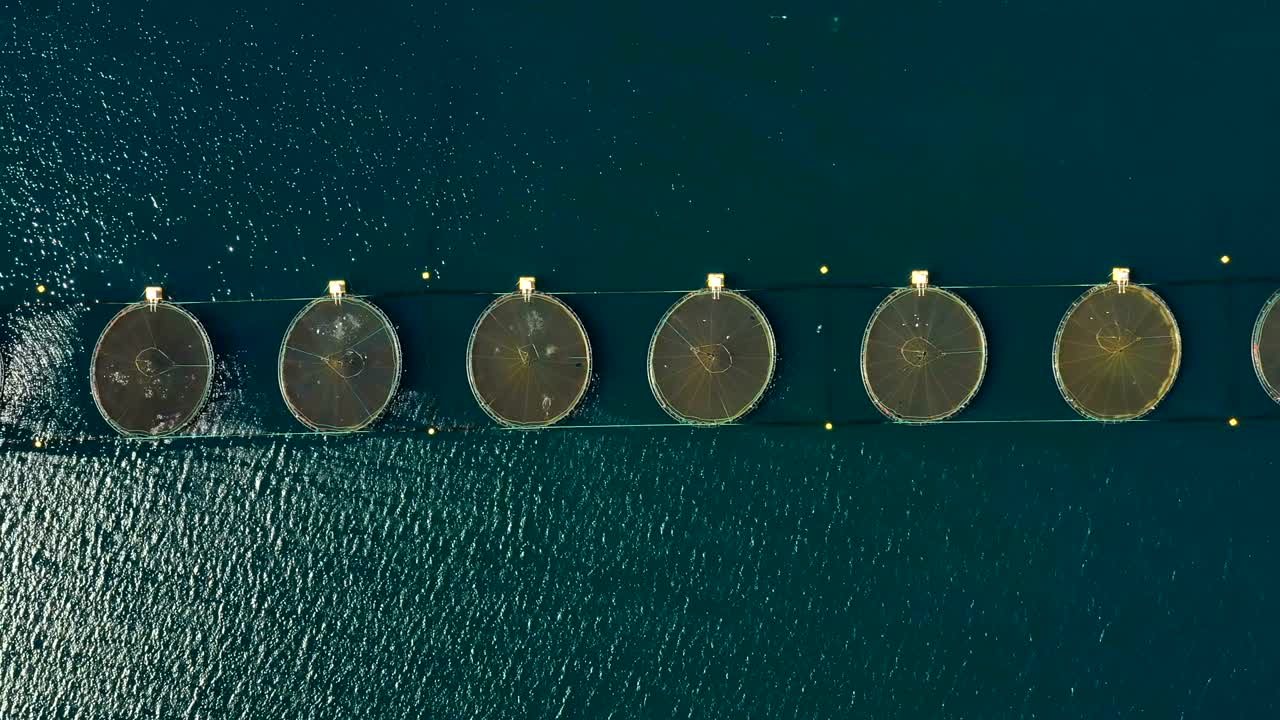 노르웨이의 연어 농장  ⁇ 시