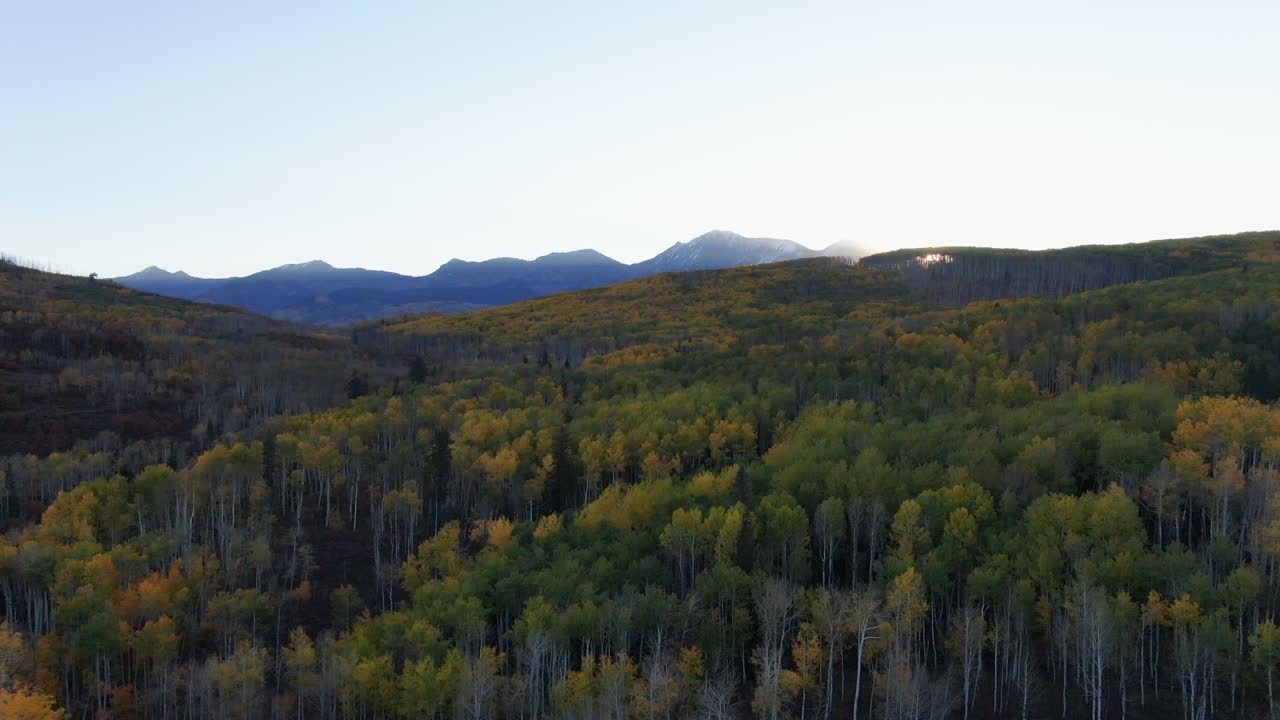 Splendido, luminoso cielo sereno, bagliore solare mattutino, foresta di pioppi tremuli autunnale con colori giallo dorato, Kebler Pass, ripresa aerea cinematografica con drone, Crested Butte, Gunnison, Colorado, Montagne Rocciose, rivelazione ascendente.