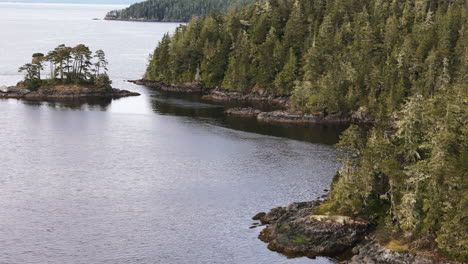 port hardy coast: tranquil waters and verdant forests