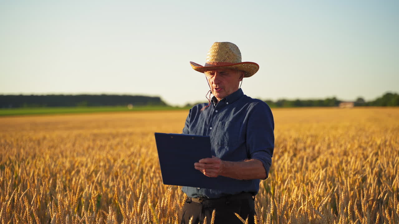 Agronomist inspecting wheat field. Farmer in field examining wheat crop