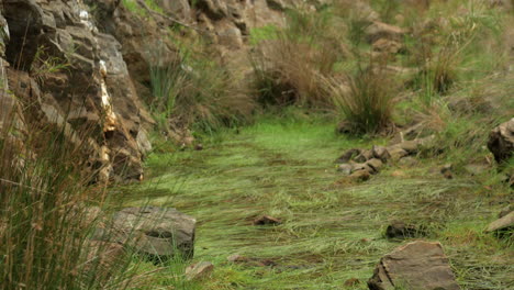 anakie gorge and cliff face brisbane ranges australia