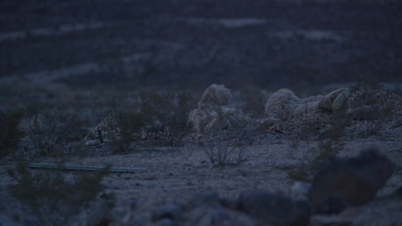 ghillie 슈트를 입은 군사 저격수들이 땅에 누워 연막탄을 던집니다.