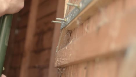 woman hanging gardening hand tool on shed door