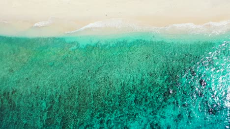 Beautiful-sea-texture-with-turquoise-lagoon,-crystal-seawater-reflecting-sun-rays-over-coral-reefs-on-sea-bottom-in-Australia