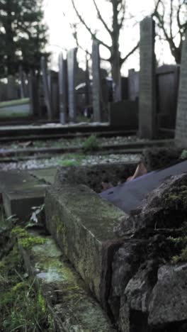 old cemetery scene