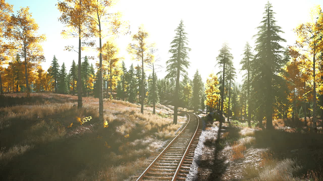 숲 을 가로지르는 빛 을 받은 철도 철도