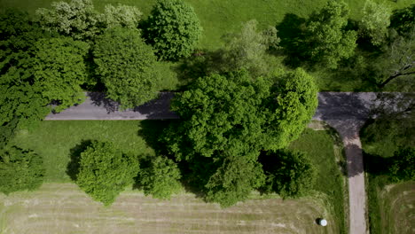 Aerial-Top-Down-View-of-Rural-Countryside-Empty-Roadway,-Country-Trail-intersection-of-Paved-Road-and-Narrow-Lane-Route-under-Trees-in-Green-Natural-Field