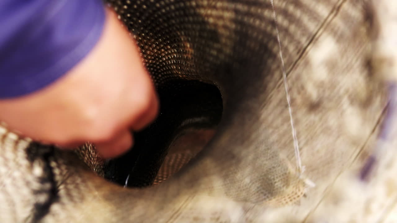Trota catturata in una rete da pesca