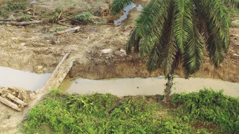 an-elephant-crosses-a-river-to-escape-deforestation-in-Borneo,-Malaysia