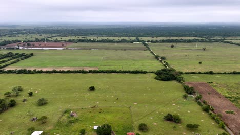 Lateral-shot-of-field-camps-in-Veracruz