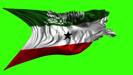 somaliland flag