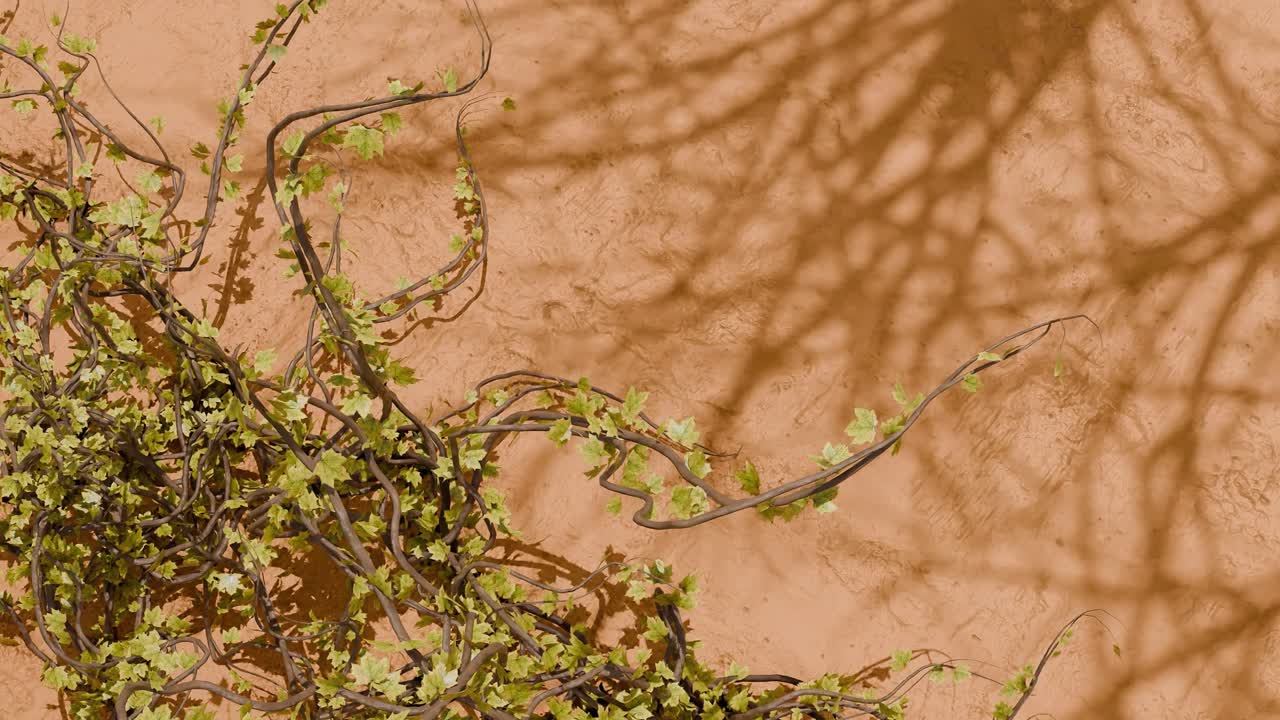 Green climbing vine with small leaves on textured beige wall with plant shadows. Spring nature and garden concept. Design for wallpaper, poster, banner.Flat lay composition with copy space