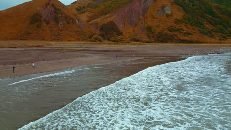 autumn coastal landscape with people and birds