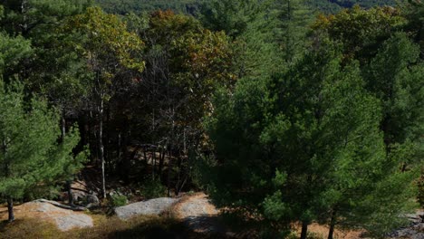 An-upward-tilt-revealing-the-side-of-a-New-England-mountain,-dense-trees,-and-a-lake-in-the-distance