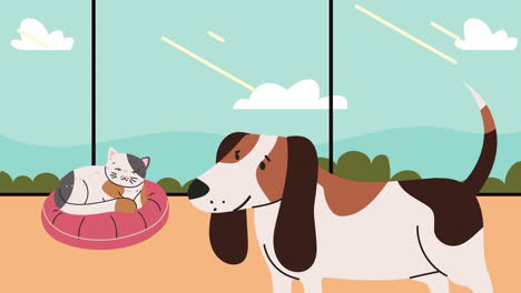 cat sleeping and dog mascots animation