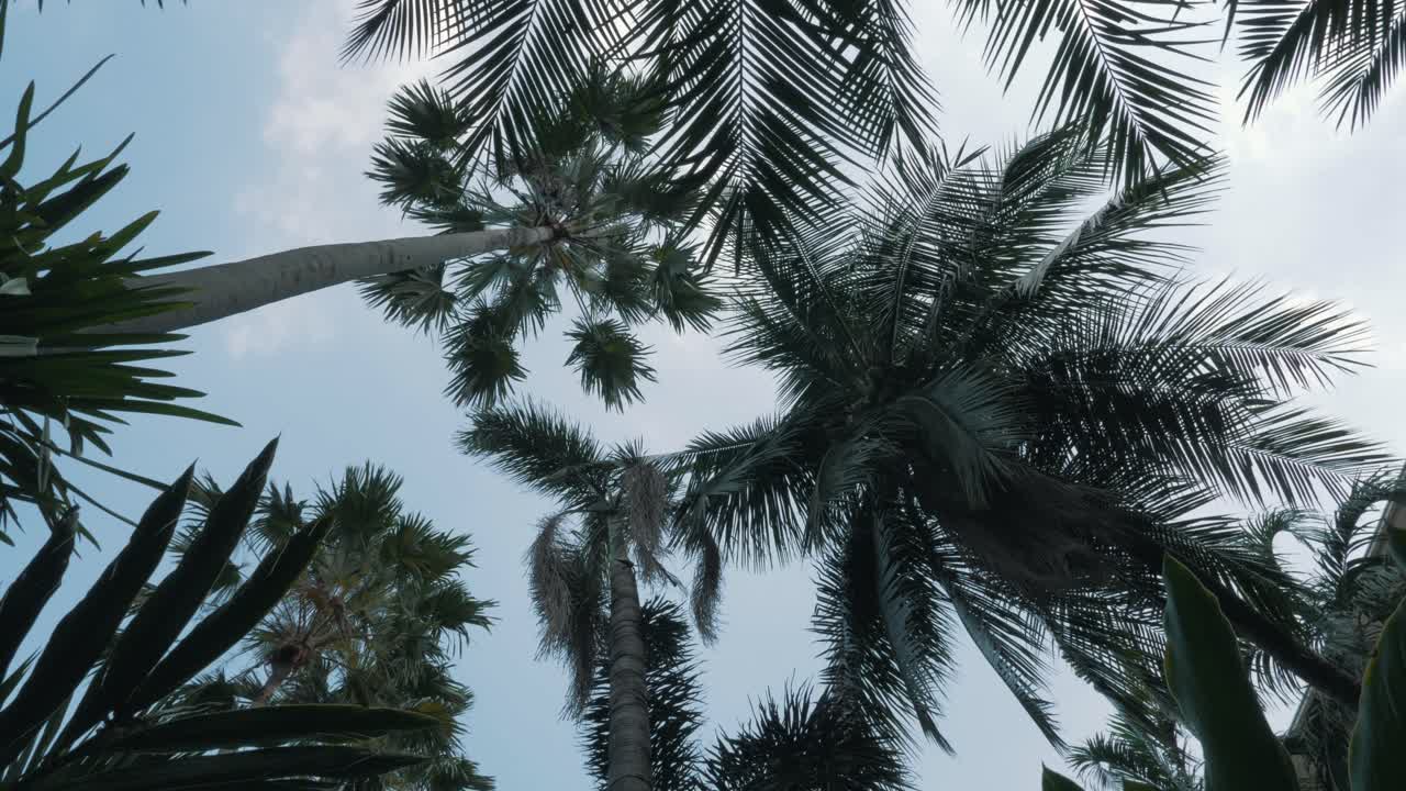 태국 숲 산책 - 태국의 숲을 걷다