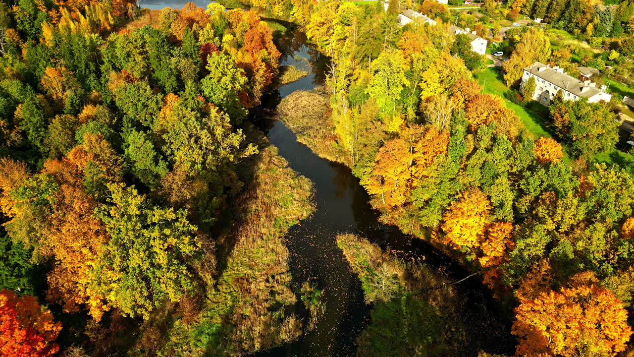 Aerial view of riverside autumnal forest, stunning fall colorful foliage, soft sunset