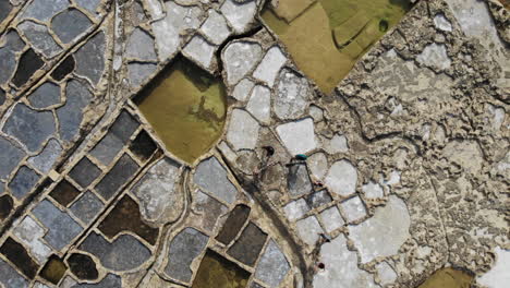 People-walk-among-the-300-year-old-sea-salt-harvesting-salt-pans-on-the-island-of-Gozo-in-the-Malta-Archipelago,-as-see-from-above-by-drone