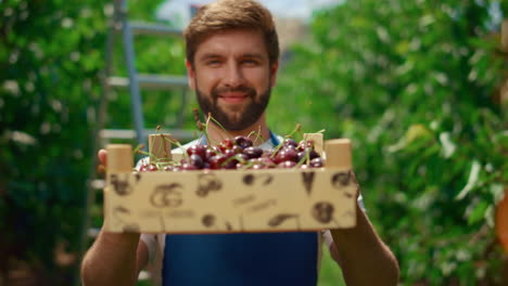 Agrónomo-Sosteniendo-Una-Caja-De-Cerezas-Mirando-Una-Cámara-En-Un-Invernadero-De-Plantación-Moderno.