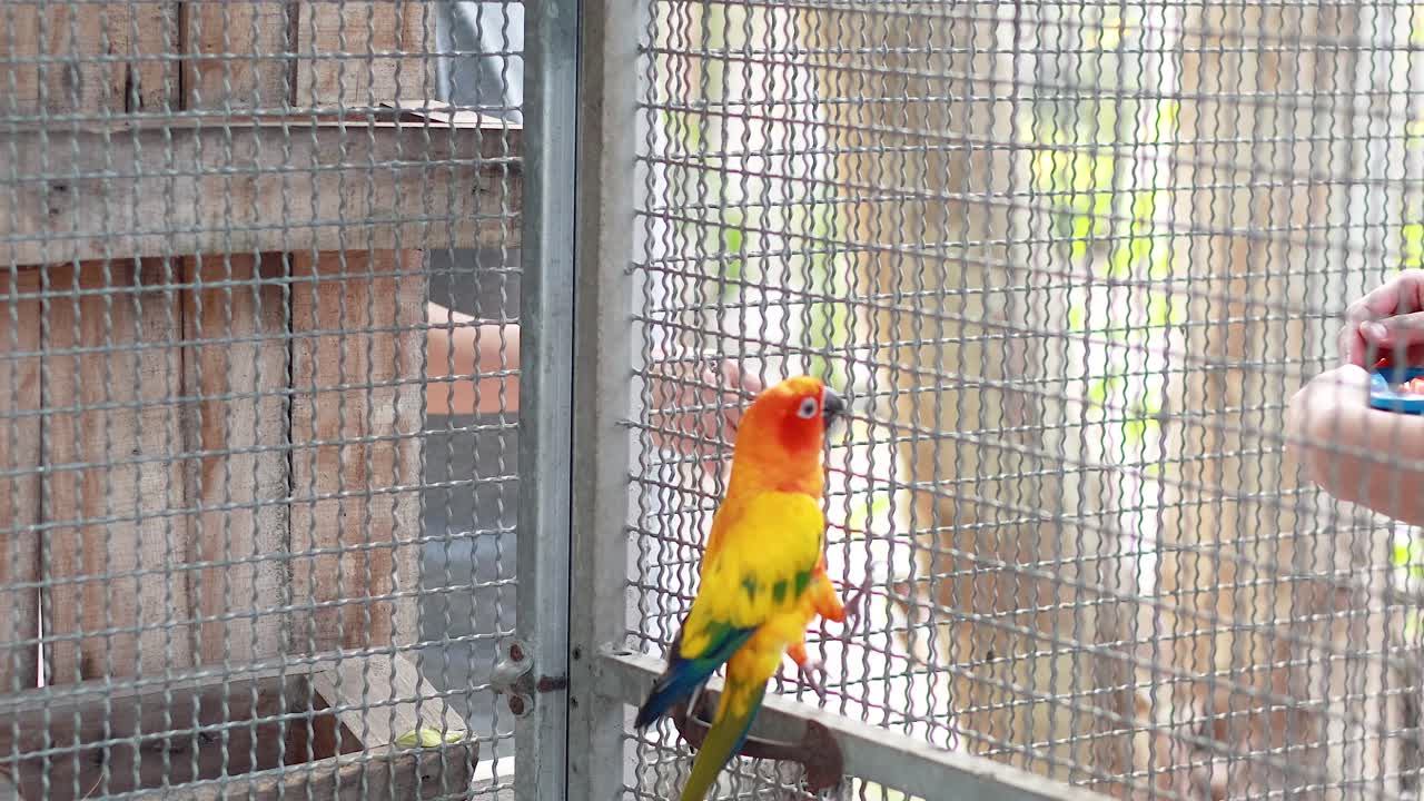 시장에서 방문객들과 상호 작용하는  코너