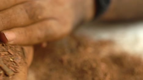 closeup of hands producing organic madder powder from roots for textile dye and health remedies