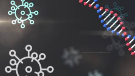 estructura del adn y células de covid-19 contra un fondo negro