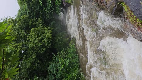 vertical - raging mountain river stream on rainy day