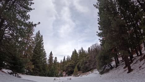 snowy winter wonderland in a pine forest cloudscape over the tall trees - wide angle time lapse