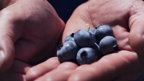 male hands with beautiful blueberries