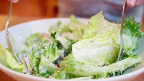 Frischgemüse-Salatschüssel-Aus-Nächster-Nähe,-Gesunder-Bio-Gemüsesalat-Mit-Thunfisch