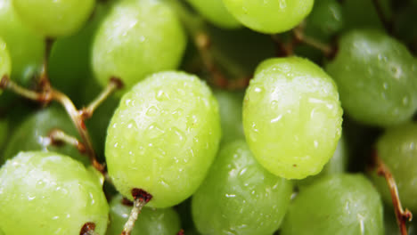 full frame of grapes