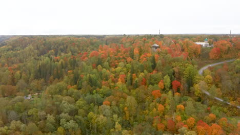 Herbstlandschaft-Des-Herbstes-Helle-Bunte-Bäume,-Grüne,-Orange-Und-Rötliche-Tönung