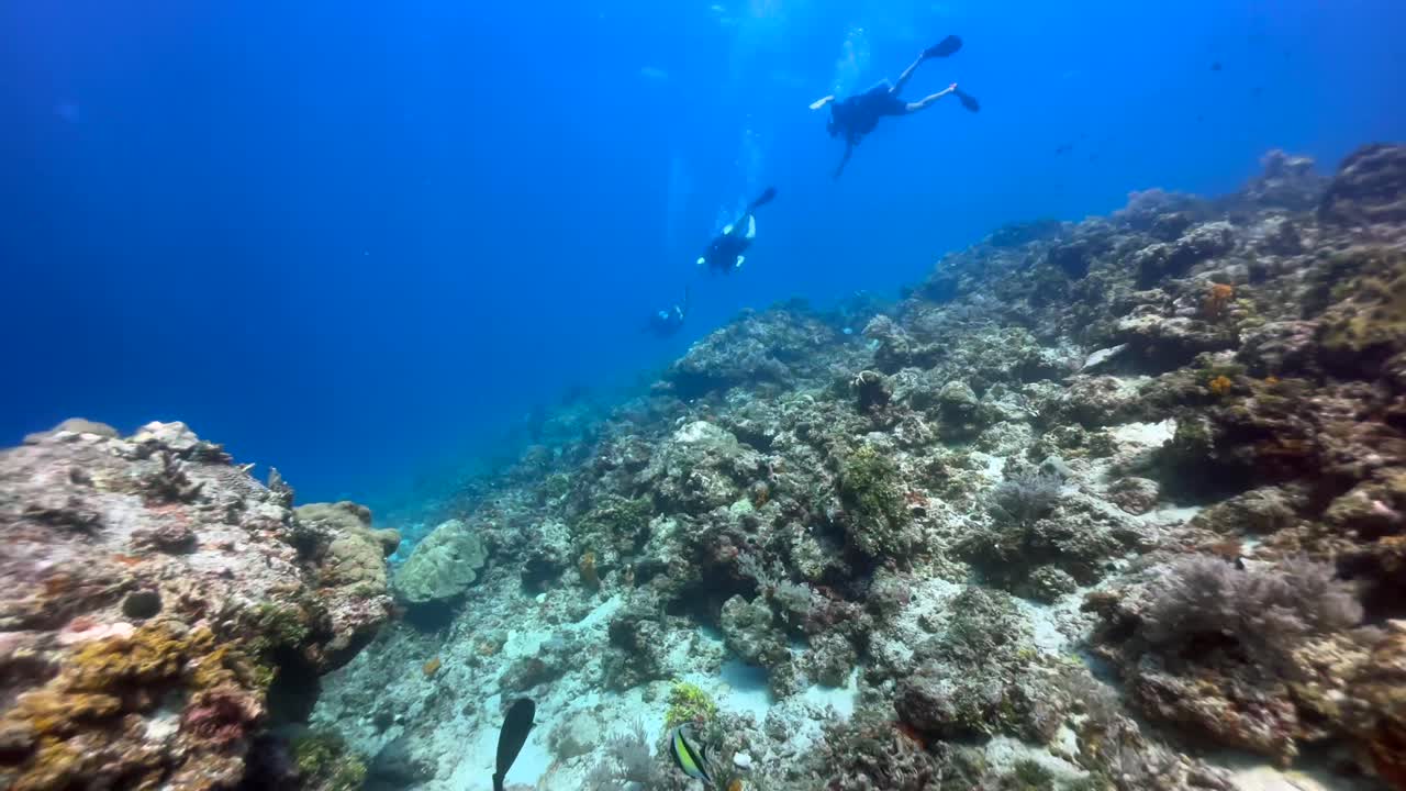 Novice divers discover coral reefs near Mnemba Island. Zanzibar, Tanzania.