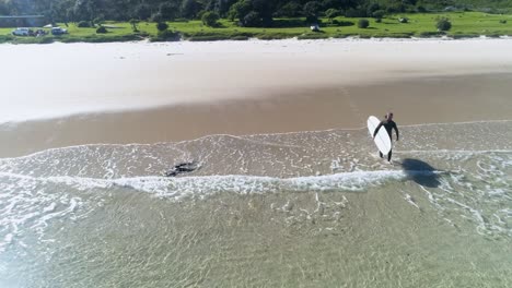 Aerial-drone-shot-of-a-man-running-with-his-surfboard-on-the-beach-towards-the-water