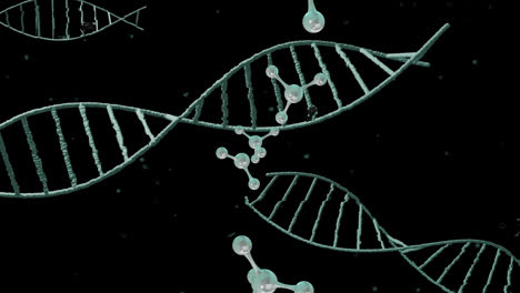 Animation-Von-3D-Mikromolekülen-Und-DNA-Strängen-Auf-Schwarzem-Hintergrund