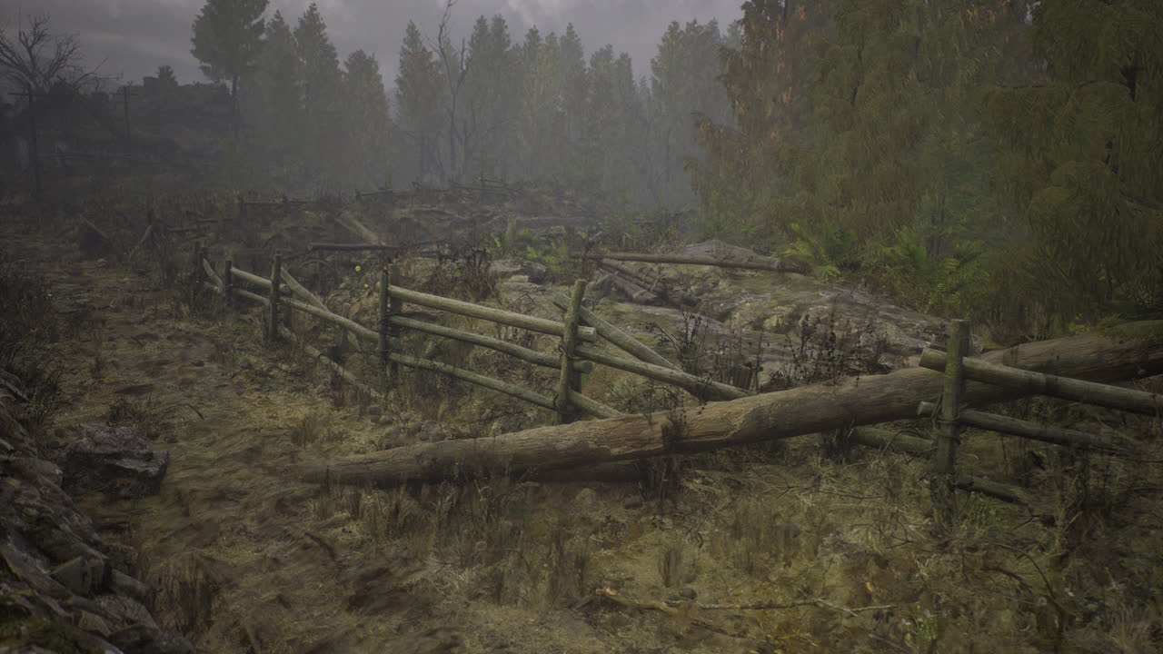 Foggy landscape with fallen trees and rustic fence in a lonely terrain