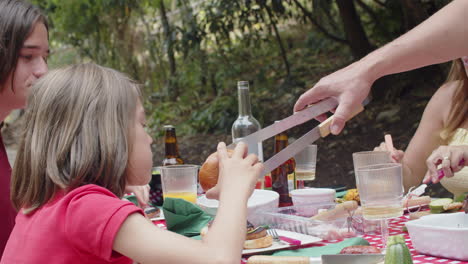 toma en cámara lenta de la familia comiendo barbacoa en el picnic