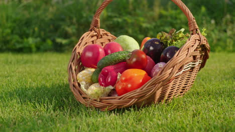 basket of fresh vegetables