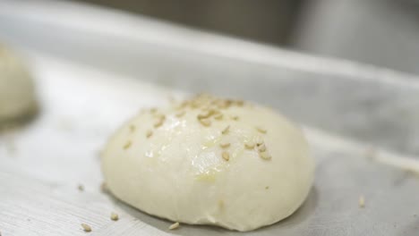 sesame seeds falling on the raw wheat bun handheld