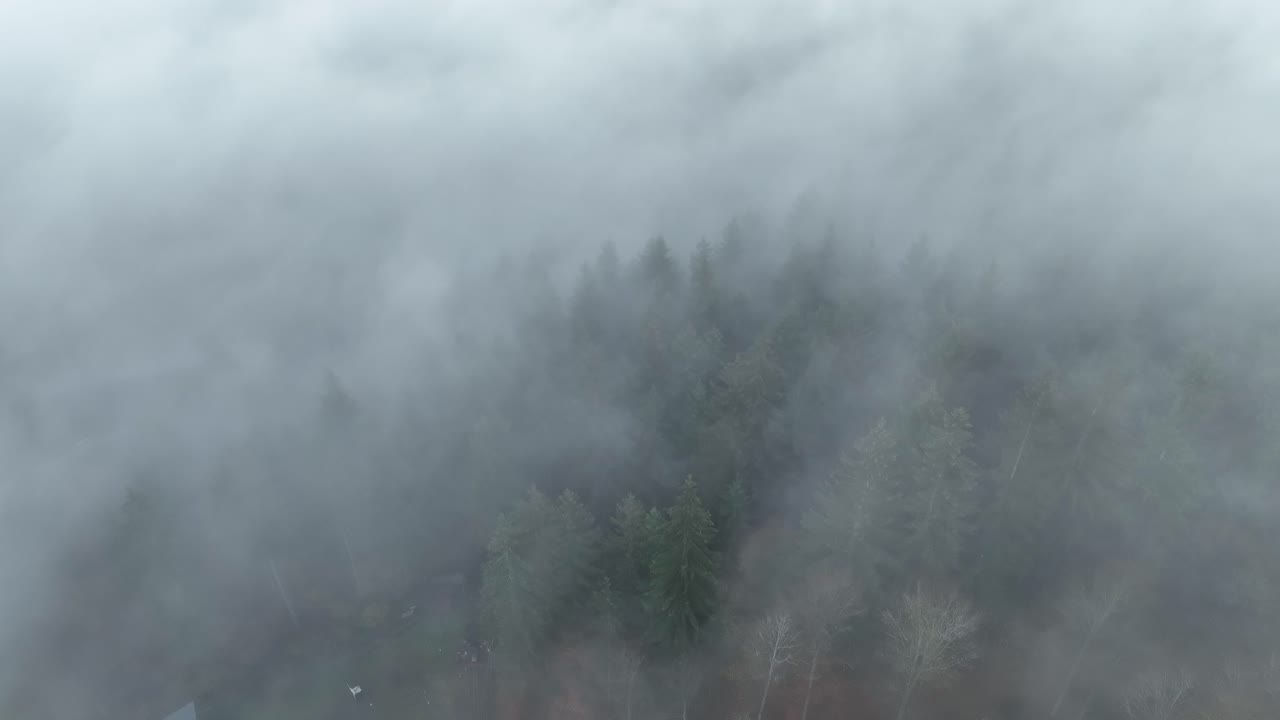 멋진 일출의 아름다움을 탐험하다