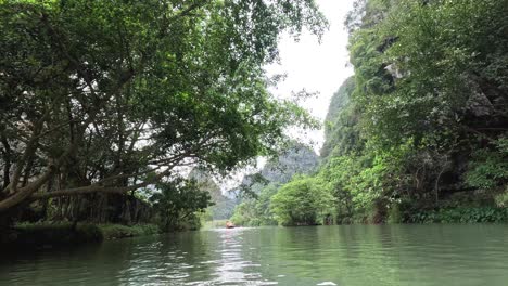 peaceful boat journey through lush greenery