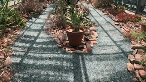 succulent greenhouse, panning shot up to down