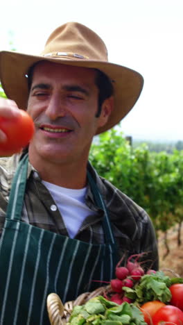 granjero con una canasta de frutas y verduras